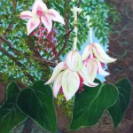 White Orchids 1, Botanical Acrylic Painting, Fine Art