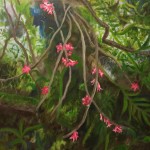 Pink Orchids 1, Botanical Acrylic Painting, Fine Art