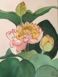 Water Lily Botanical Watercolor Painting Fine Art